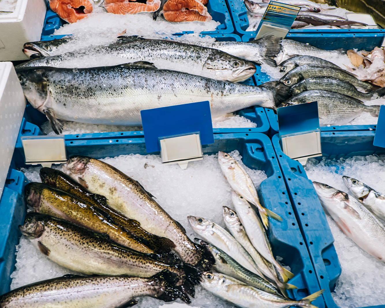 Weighing on ice & tare