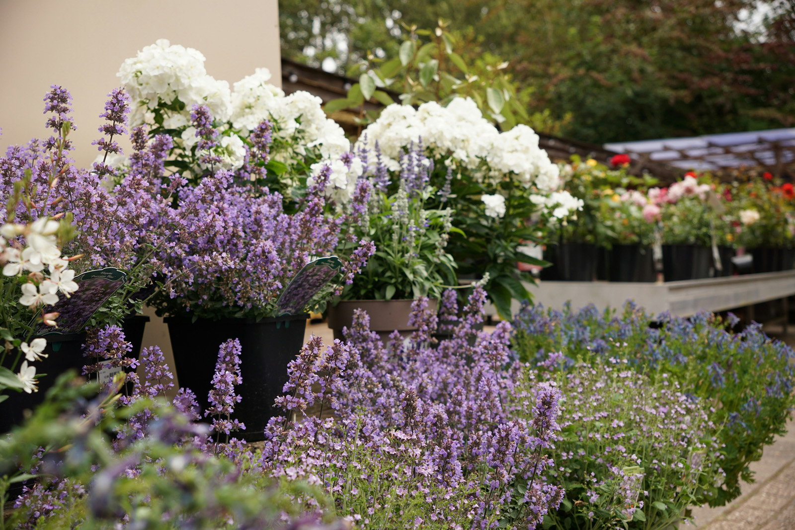 Garden center / nursery