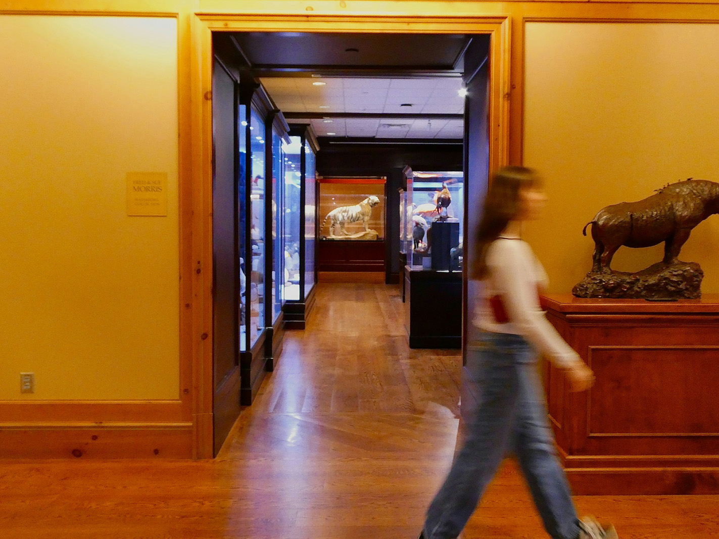 Museum lobby and admission desk welcoming visitors